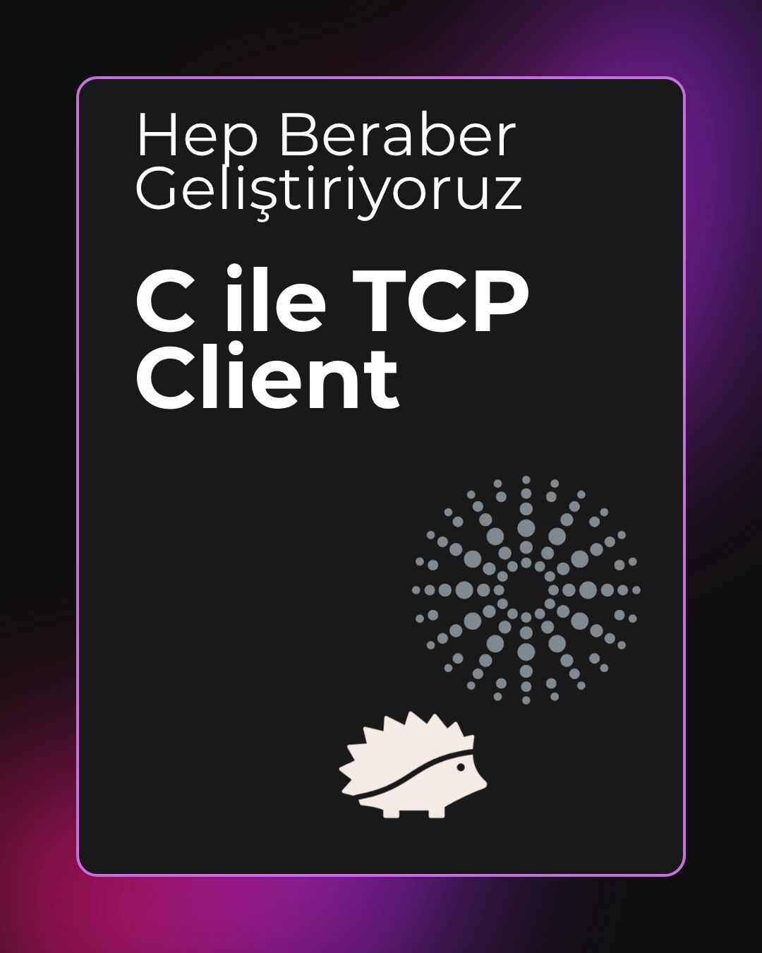 Birlikte Geliştirelim: C İle TCP Client Yazımı